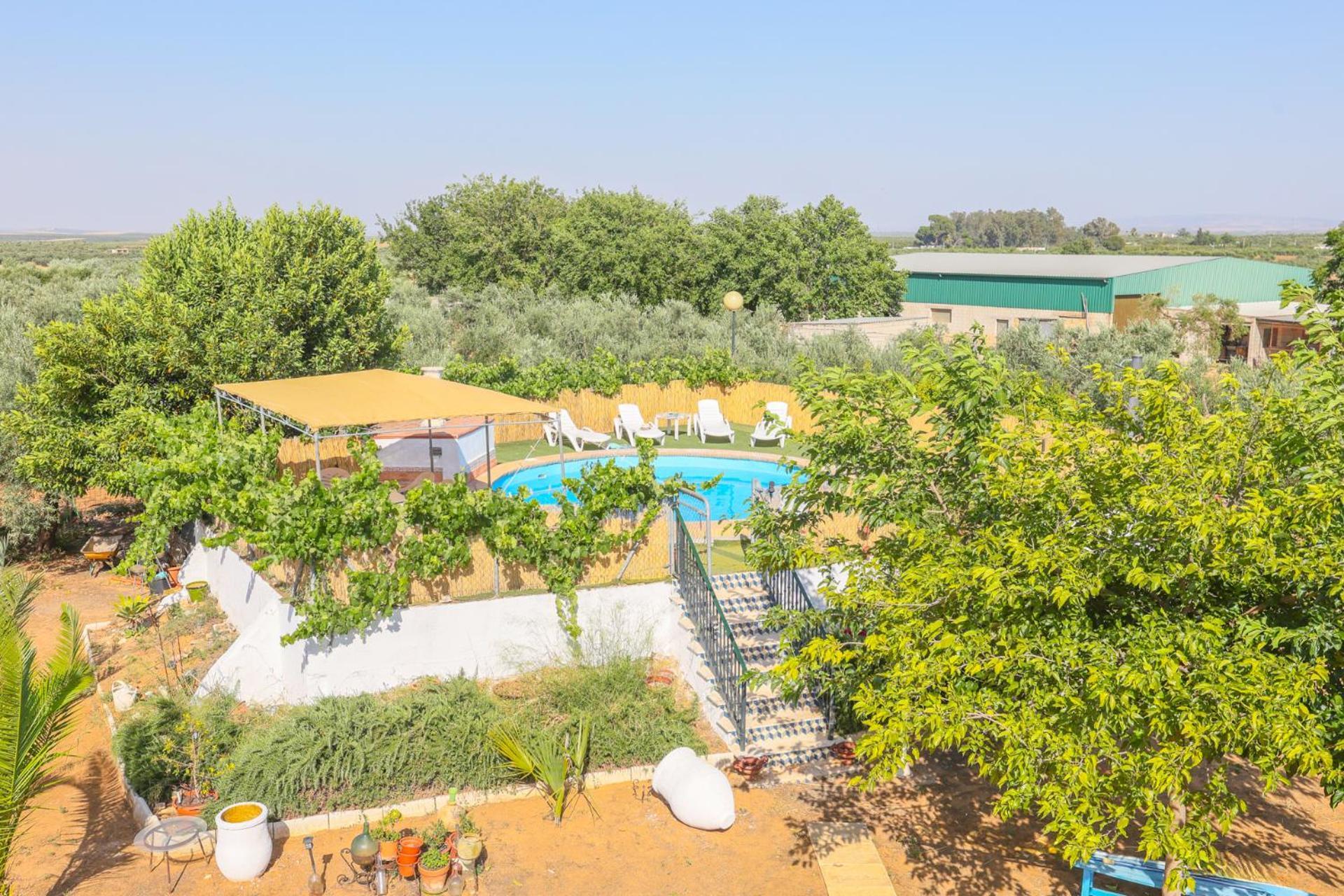 Casa Rural Los Miradores 马尔切纳 外观 照片