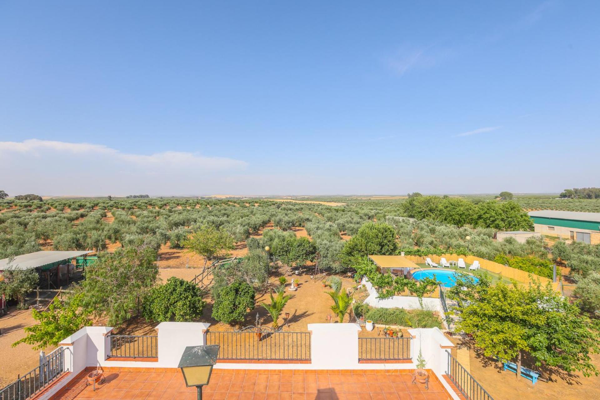 Casa Rural Los Miradores 马尔切纳 外观 照片