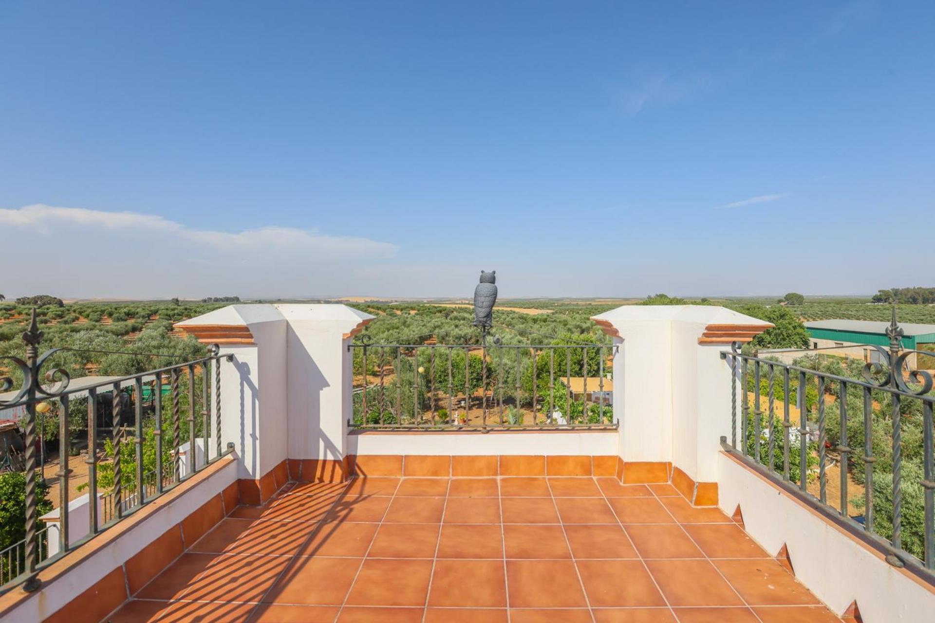 Casa Rural Los Miradores 马尔切纳 外观 照片