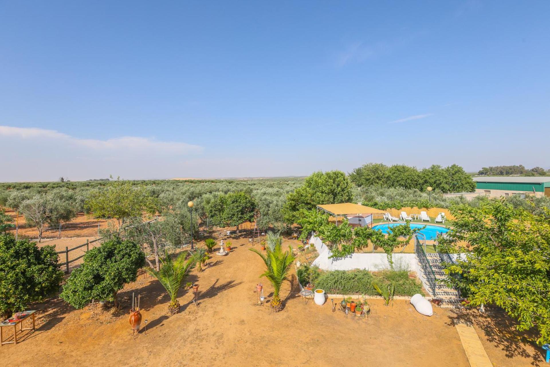 Casa Rural Los Miradores 马尔切纳 外观 照片