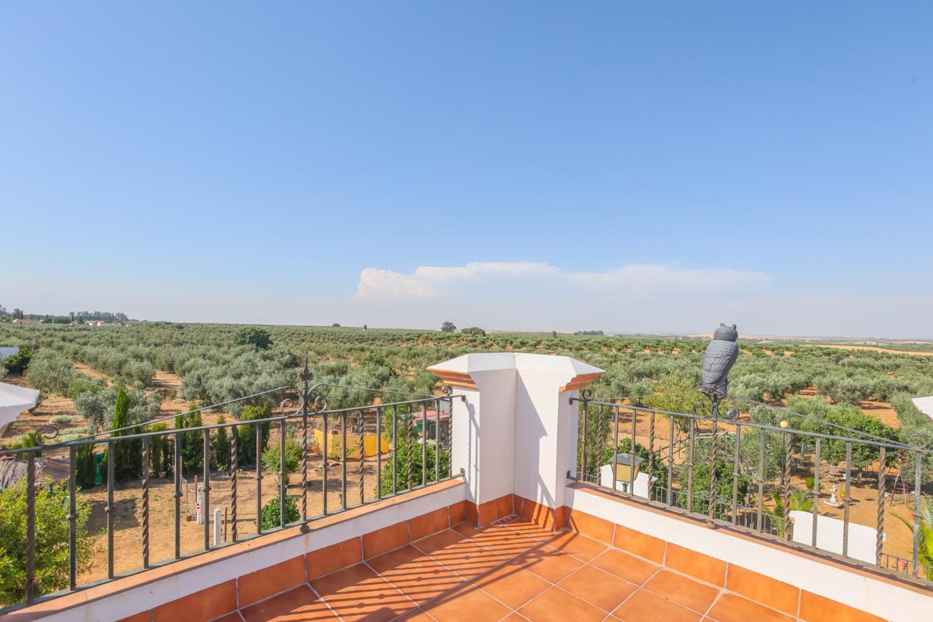 Casa Rural Los Miradores 马尔切纳 外观 照片