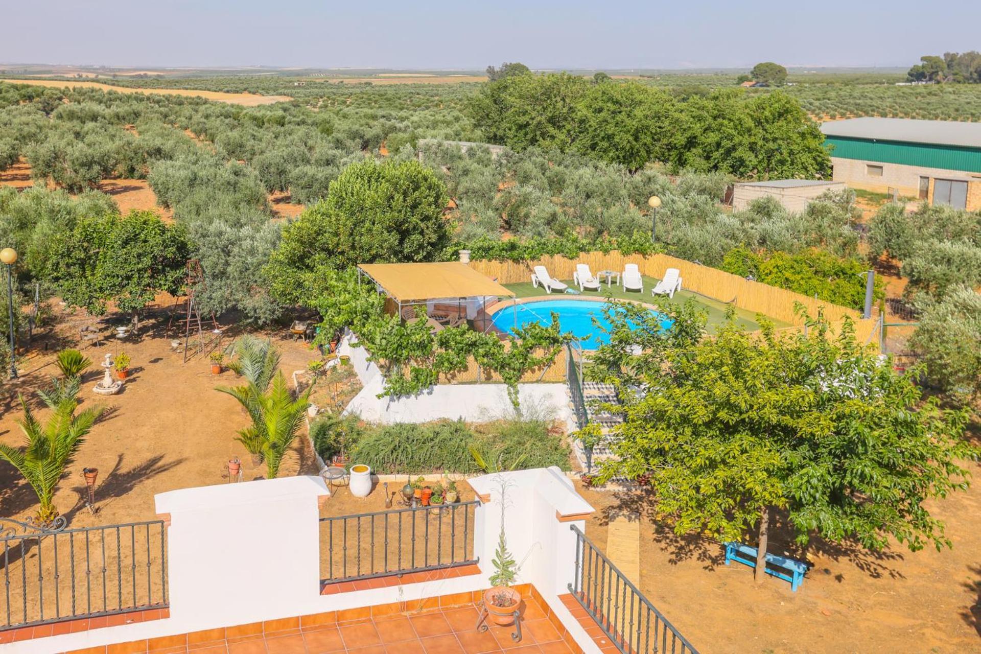 Casa Rural Los Miradores 马尔切纳 外观 照片